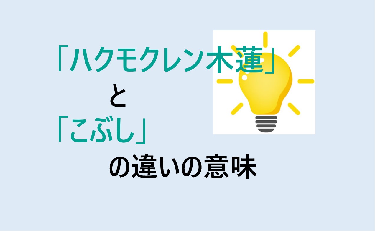 ハクモクレン木蓮とこぶしの違い