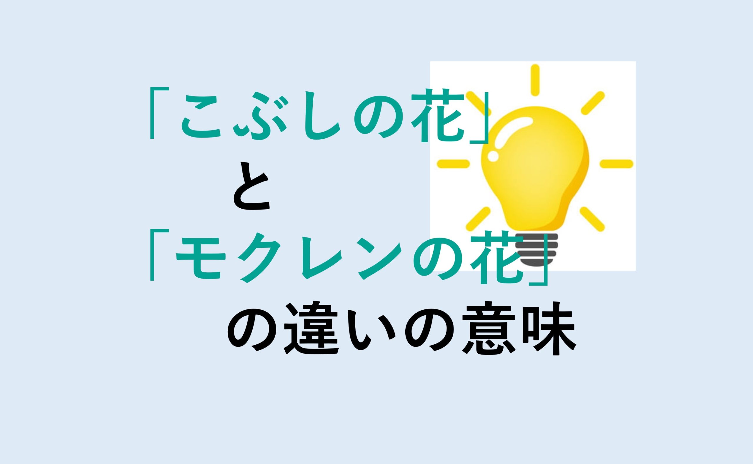 こぶしの花とモクレンの花の違い