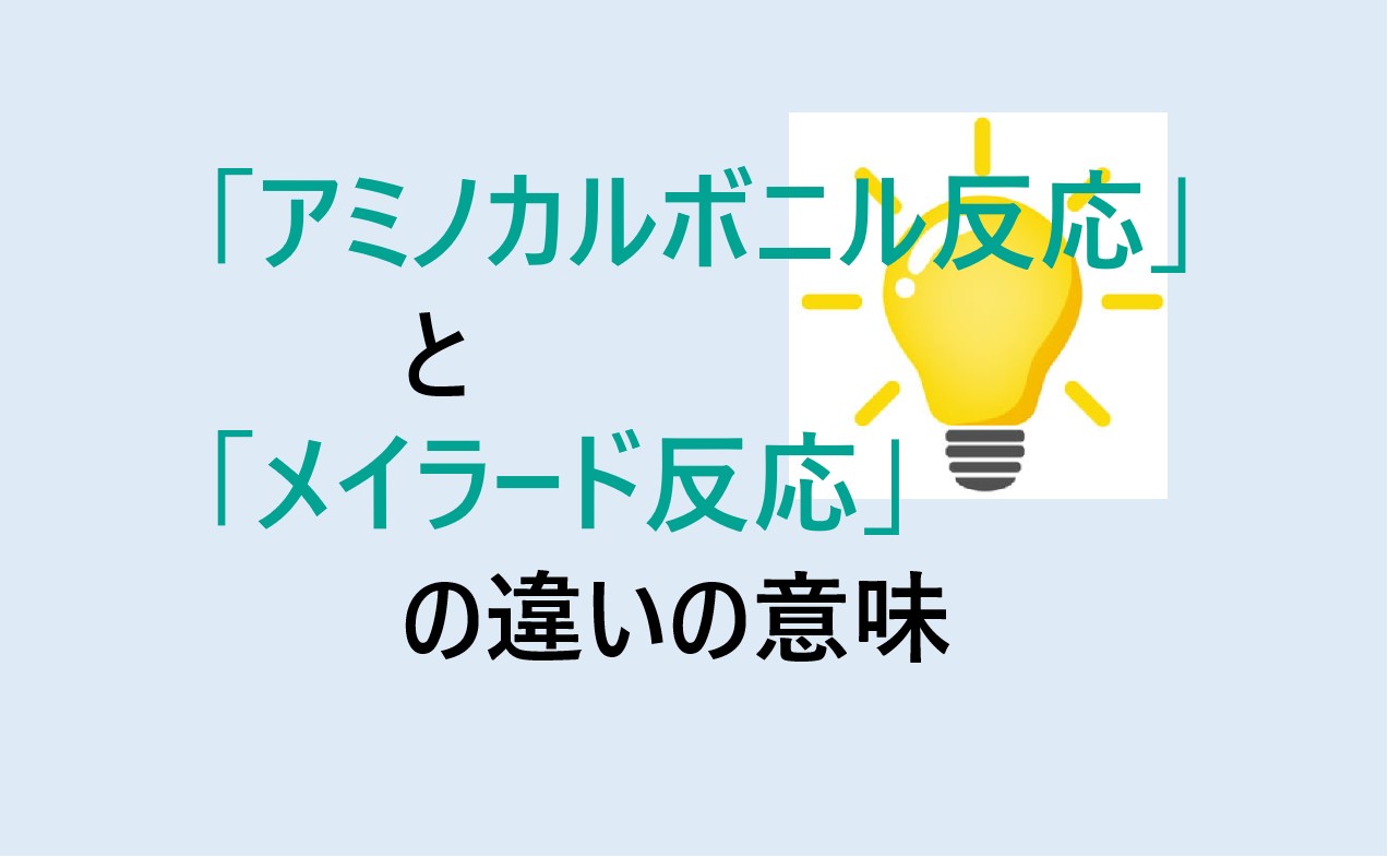 アミノカルボニル反応とメイラード反応の違い