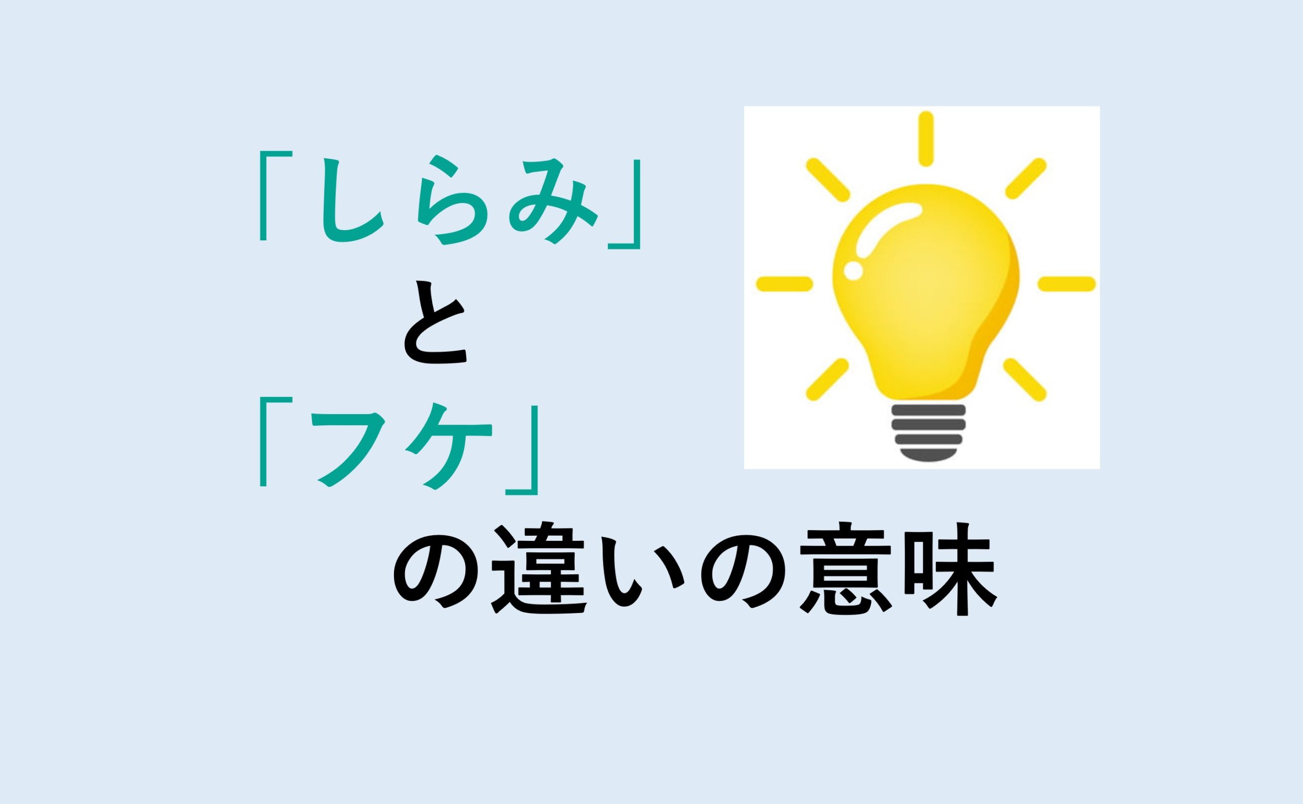 しらみとフケの違い