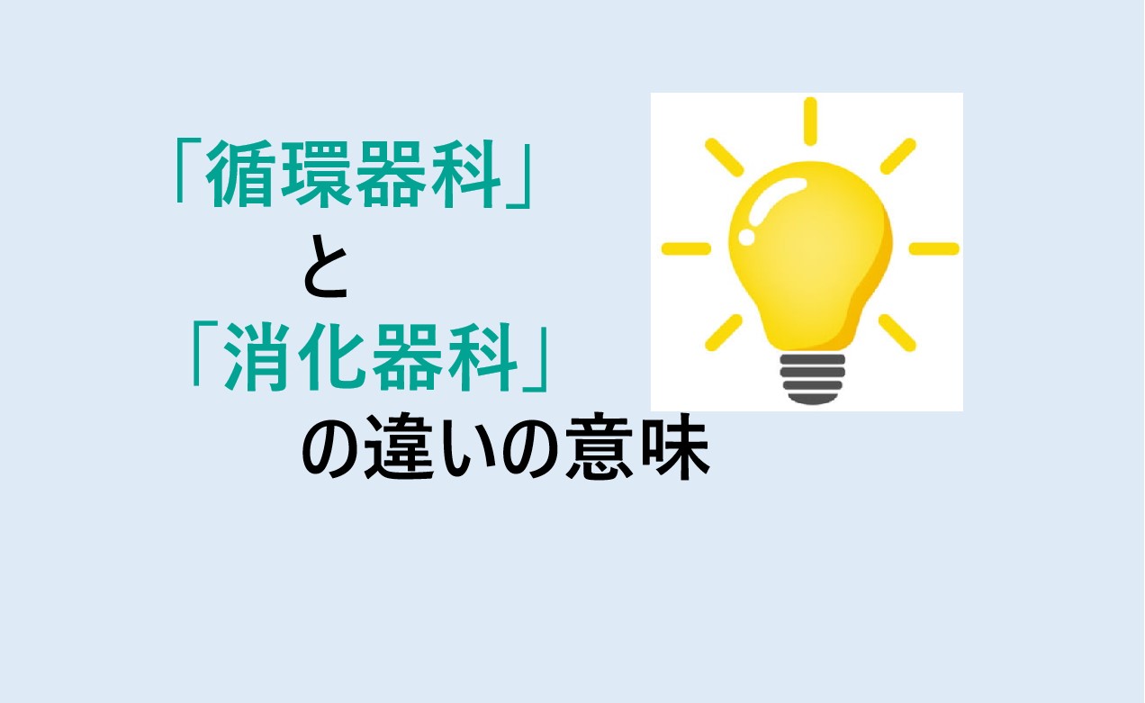 循環器科と消化器科の違い