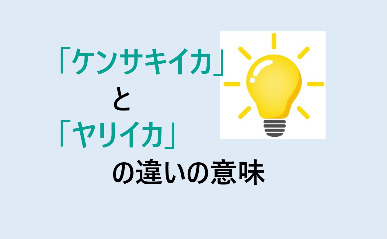 ケンサキイカとヤリイカの違い