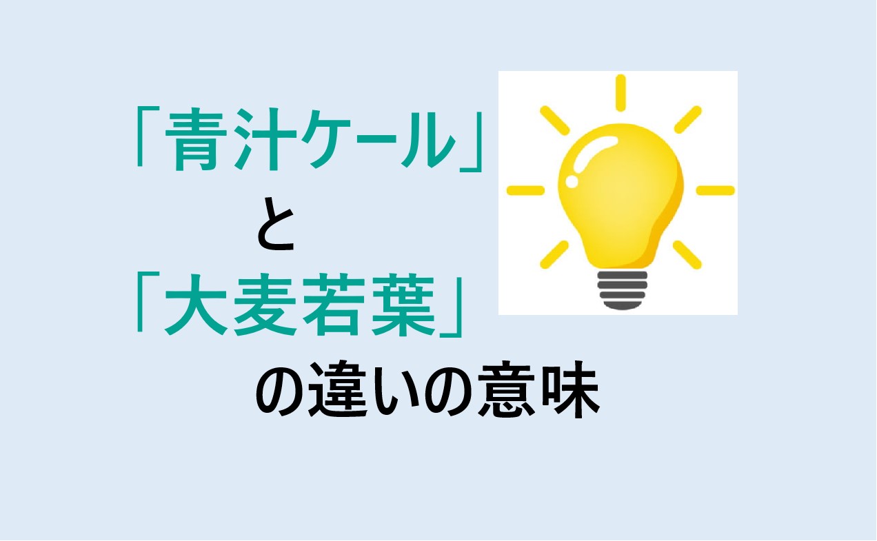 青汁ケールと大麦若葉の違い