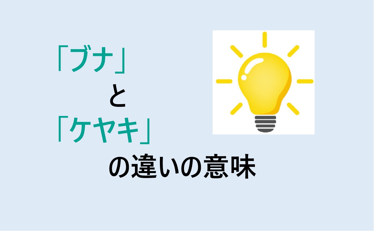 ブナとケヤキの違い