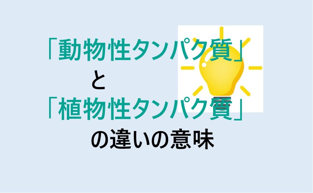 動物性タンパク質と植物性タンパク質の違い