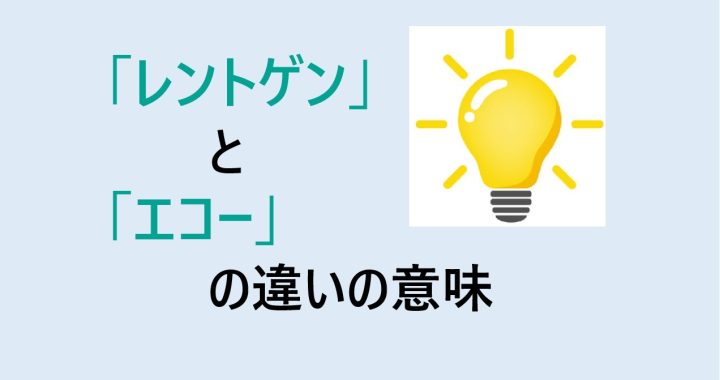 レントゲンとエコーの違いの意味を分かりやすく解説！