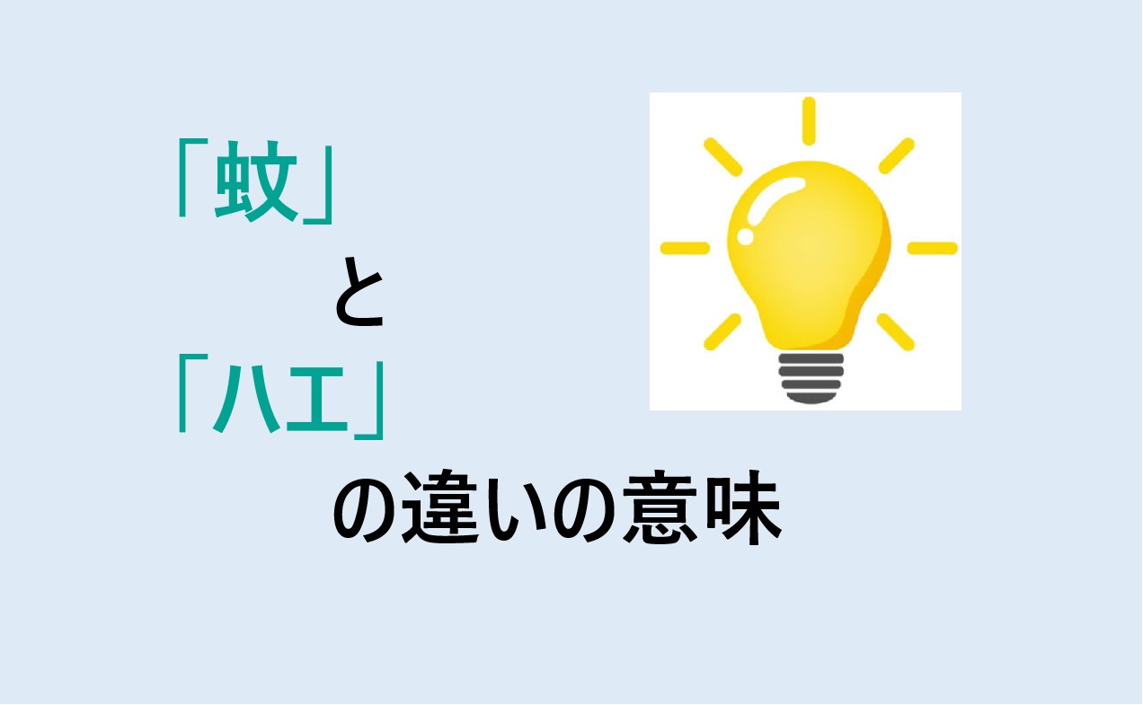 蚊とハエの違い