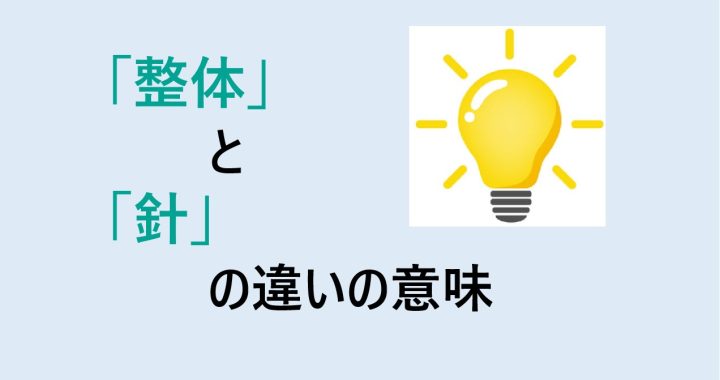 整体と針の違いの意味を分かりやすく解説！