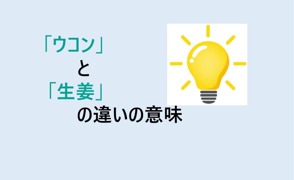 ウコンと生姜の違い