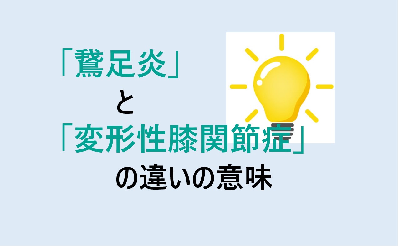 鵞足炎と変形性膝関節症の違い