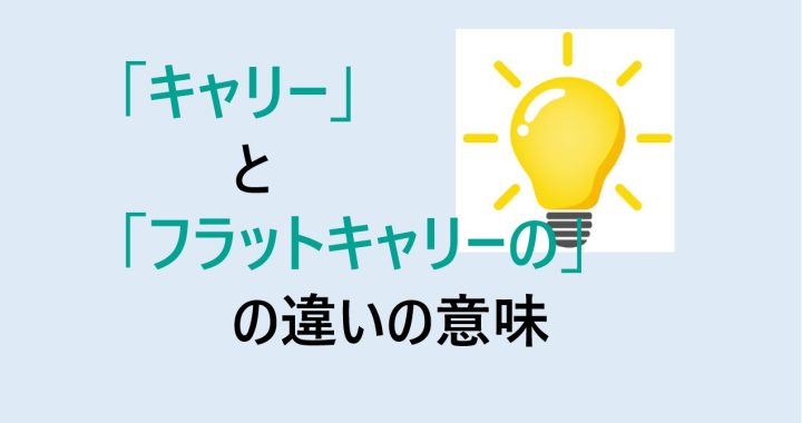 キャリーとフラットキャリーの違いの意味を分かりやすく解説！