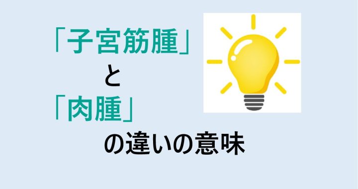 子宮筋腫と肉腫の違いの意味を分かりやすく解説！