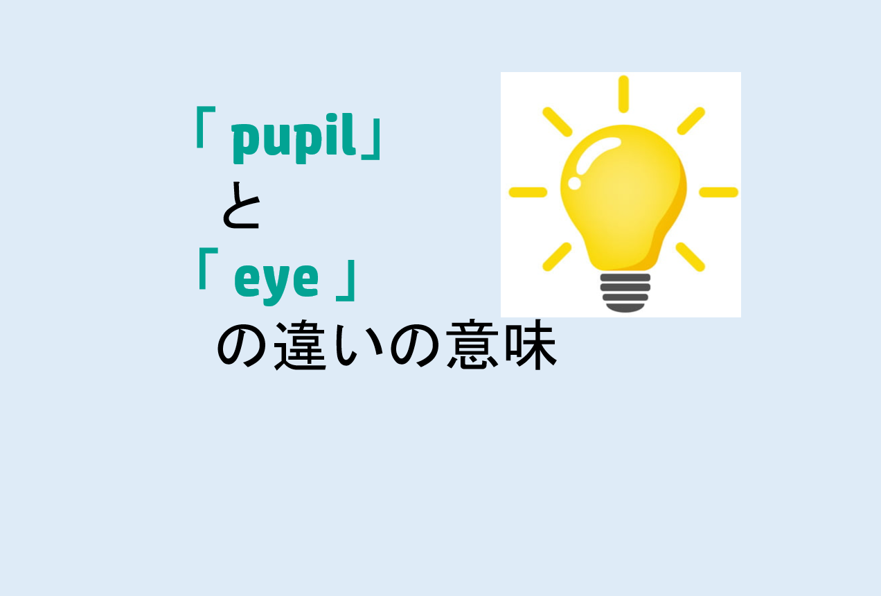 pupilとeyeの違い