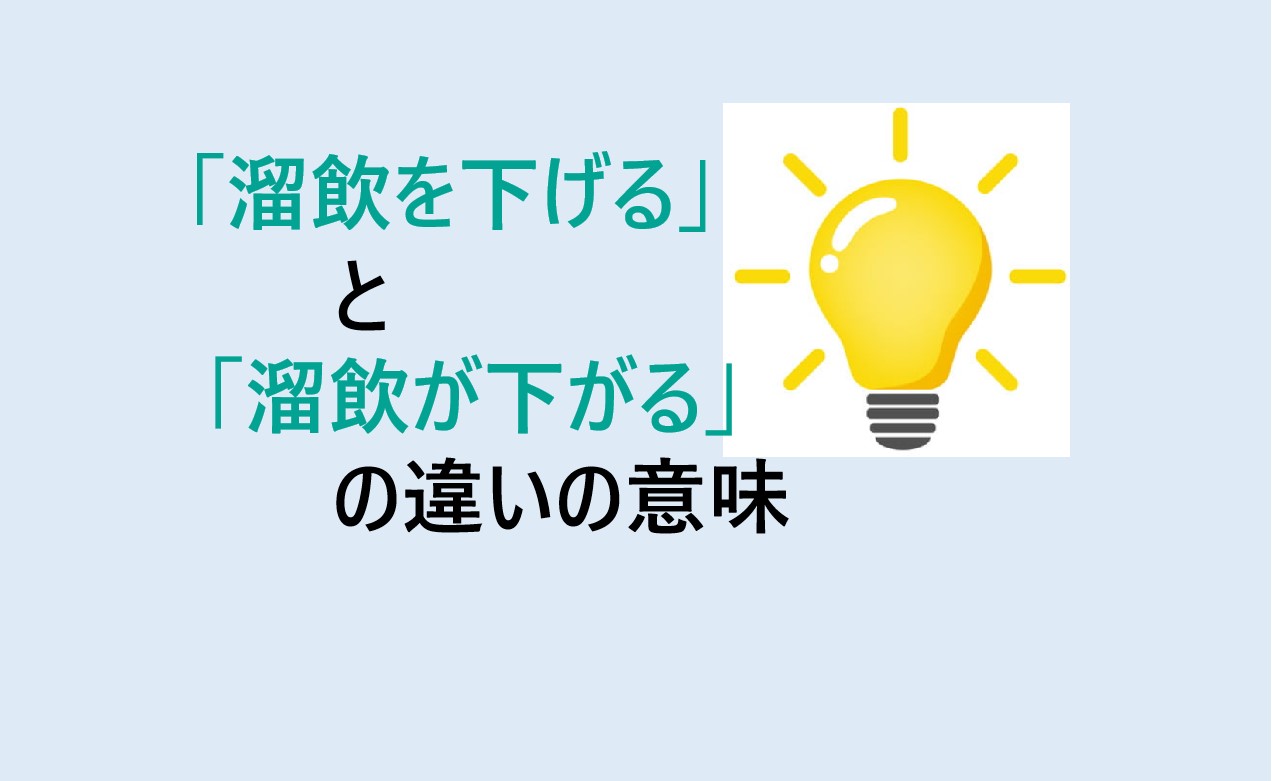 溜飲を下げると溜飲が下がるの違い