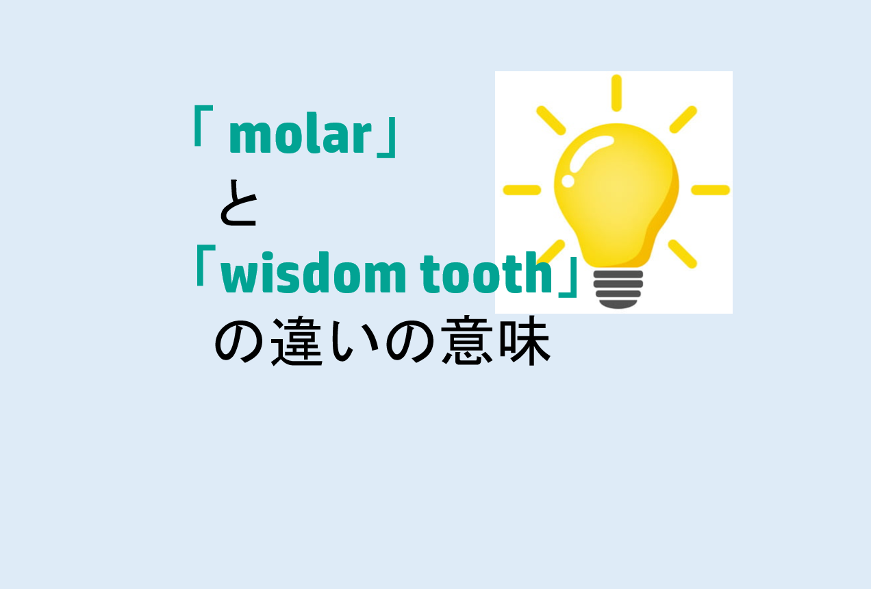 molarwisdom tooth